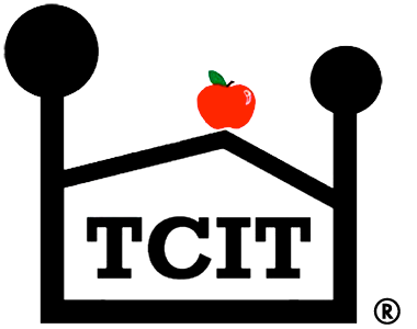 TCIT (Teacher-Child Interaction Training – Universal)